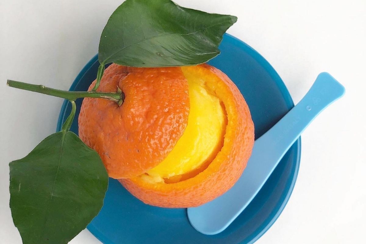 Hand-packed citrus sorbet served inside its own orange peel with leaf attached—dairy-free